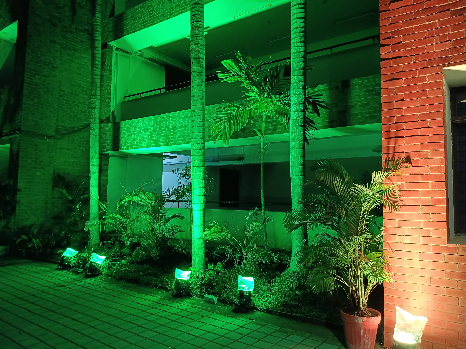 Green lighting on the planted facade