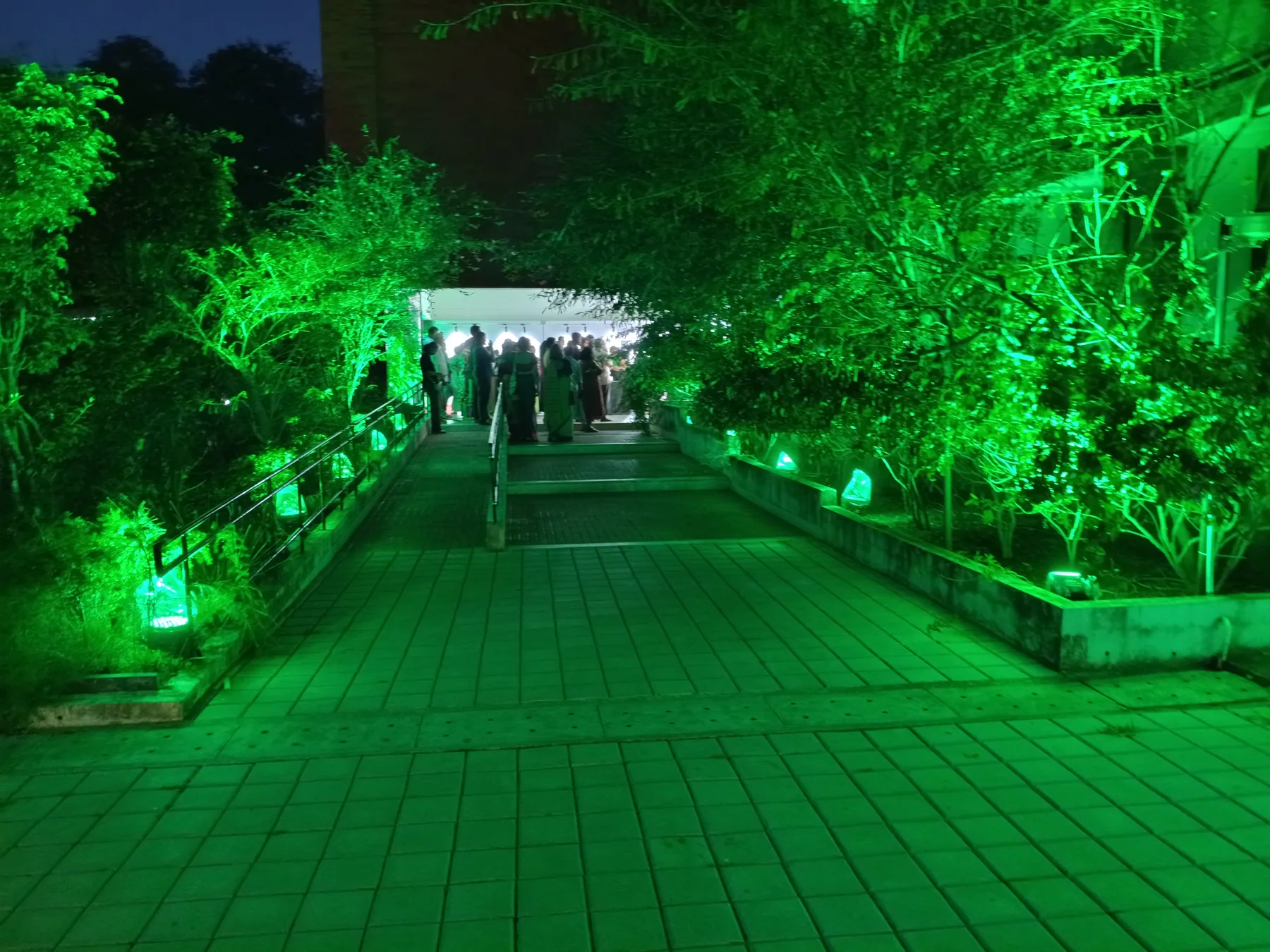 Tree-lined approach lit in green