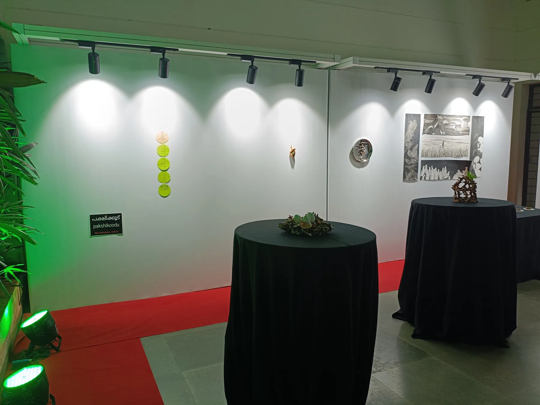 Spotlit artwork and display plinths inside the gallery
