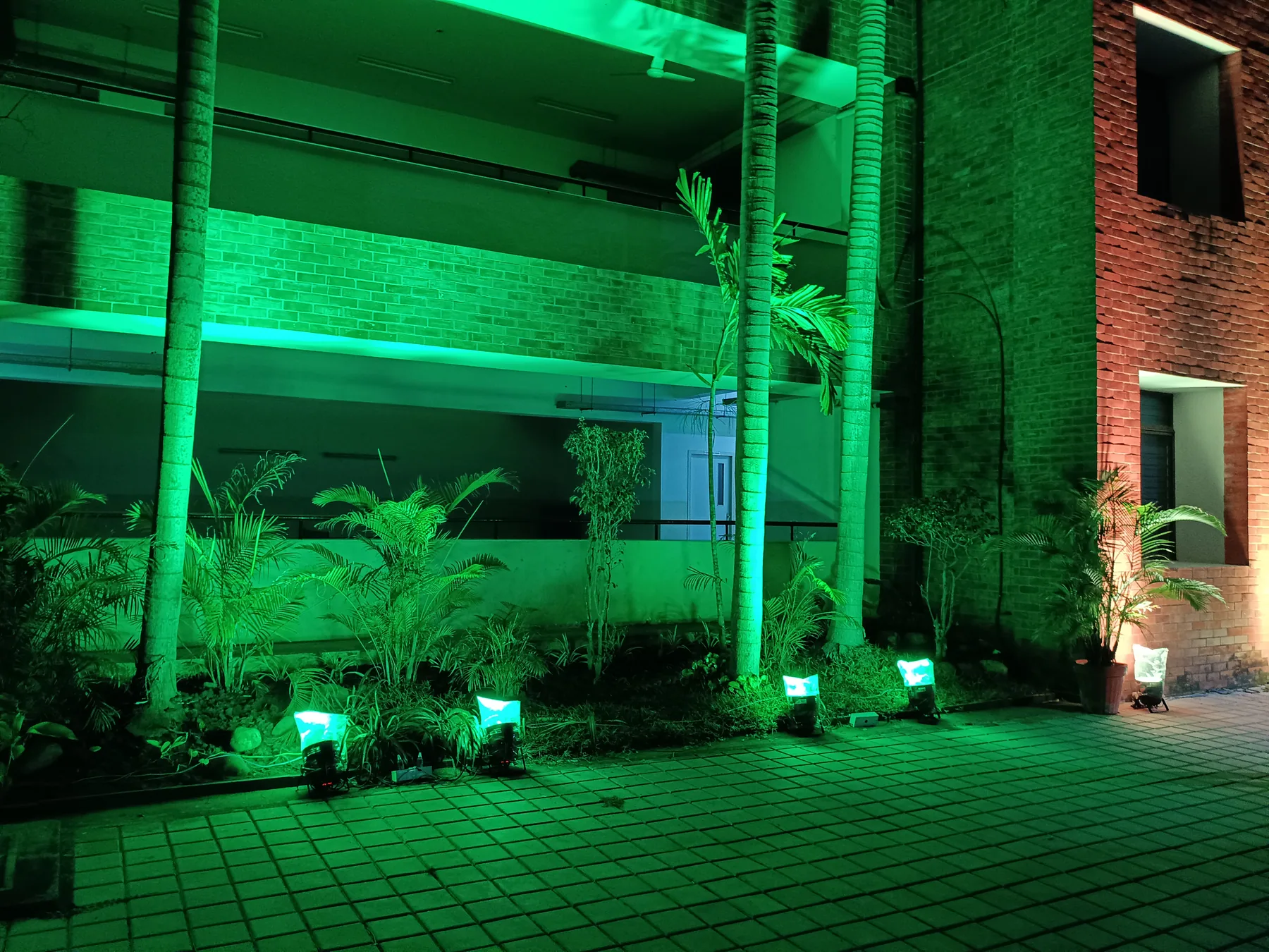 Evening view of the green-lit facade